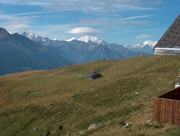 Grüne Alpweide auf der Fiescheralp mit Blick auf die Walliser Alpen im Sommer